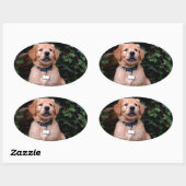 Sticker Ovale Chiot Golden Retriever (Feuille)