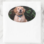 Sticker Ovale Chiot Golden Retriever (Sac)