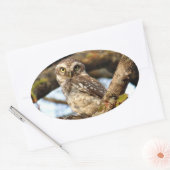 Sticker Ovale Chouette de nidification (Enveloppe)