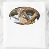 Sticker Ovale Chouette de nidification (Sac)
