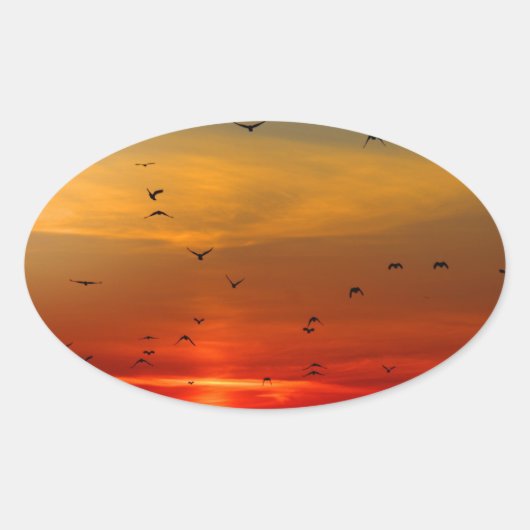 Sticker Ovale Ciel atmosphérique, coucher de soleil, oiseaux, be (Devant)