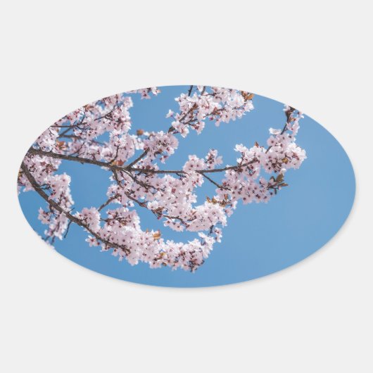 Sticker Ovale ciel de fleurs roses (Devant)