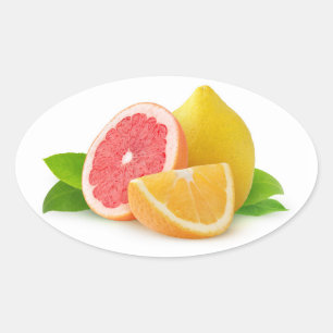 Sticker Ovale Citrus fruits