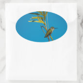 Sticker Ovale Colibri à gorge rubis sur arbre (Sac)