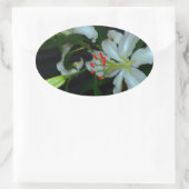 Sticker Ovale Collection Irlandaise de laiton et de fleurs (Sac)