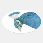 Sticker Ovale Collier d'oiseau de paon Oval (Devant)