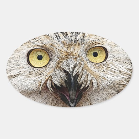 Sticker Ovale Comment Es-Tu ? Owl Qui Êtes-Vous ? (Devant)