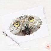 Sticker Ovale Comment Es-Tu ? Owl Qui Êtes-Vous ? (Enveloppe)