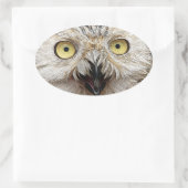 Sticker Ovale Comment Es-Tu ? Owl Qui Êtes-Vous ? (Sac)