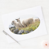 Sticker Ovale Conceptions originales - Moutons dans un champ (Enveloppe)