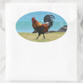 Sticker Ovale Coq Kauai (Sac)