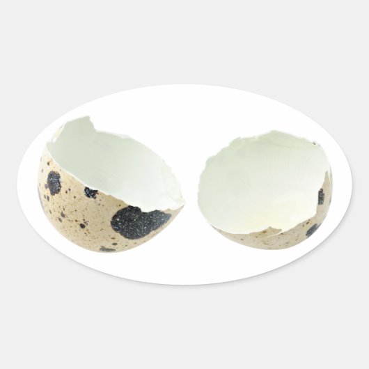 Sticker Ovale Coquille d'oeuf cassée (Devant)