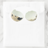 Sticker Ovale Coquille d'oeuf cassée (Sac)