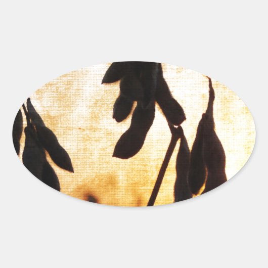 Sticker Ovale Coucher de soja (Devant)