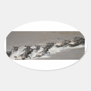 Sticker Ovale courre de wildebeest kenya