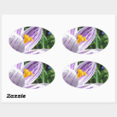 Sticker Ovale Crocus de printemps violet (Feuille)