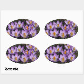 Sticker Ovale Crocus violets ensoleillés (Feuille)