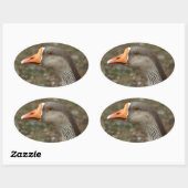 Sticker Ovale Croix du cygne gris (Feuille)