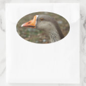 Sticker Ovale Croix du cygne gris (Sac)