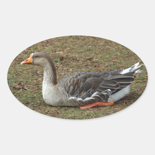 Sticker Ovale Croix du cygne gris (Devant)