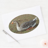 Sticker Ovale Croix du cygne gris (Enveloppe)