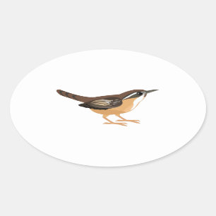 Sticker Ovale Cute Carolina Wren