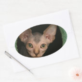 Sticker Ovale Cute sphynx chaton (Enveloppe)