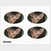 Sticker Ovale Cute sphynx chaton (Feuille)