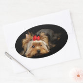 Sticker Ovale Cute yorkie (Enveloppe)