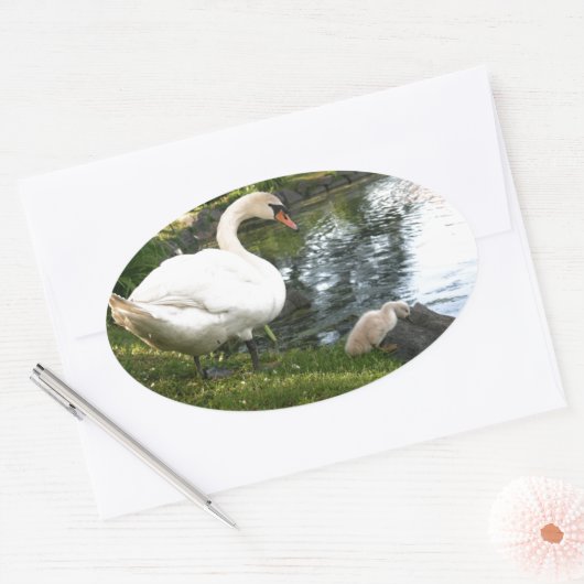 Sticker Ovale Cygne et cygnet (Enveloppe)