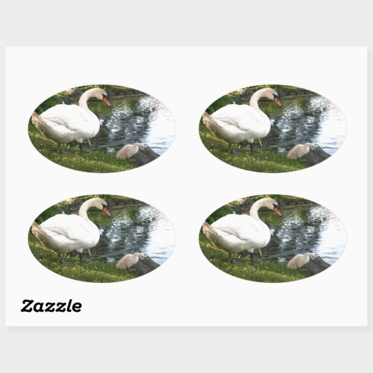 Sticker Ovale Cygne et cygnet (Feuille)