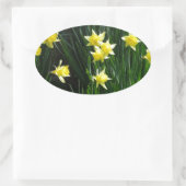 Sticker Ovale Daffodiques de printemps (Sac)