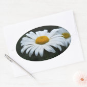 Sticker Ovale Daisy - Face vers le haut (Enveloppe)