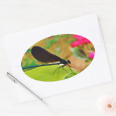 Sticker Ovale Damselfly et Rose (Enveloppe)