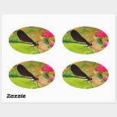 Sticker Ovale Damselfly et Rose (Feuille)