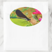 Sticker Ovale Damselfly et Rose (Sac)