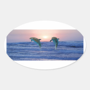 Sticker Ovale Dauphin de Bottlenose au lever de soleil