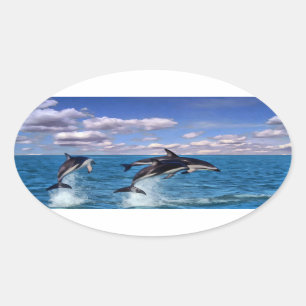 Sticker Ovale Dauphins sombres au jeu