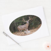 Sticker ovale de cerf (Enveloppe)