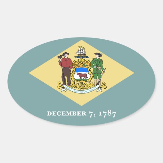 Sticker Ovale Delaware (Devant)