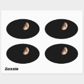 Sticker Ovale demi-lune (Feuille)