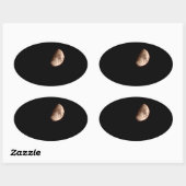 Sticker Ovale demi-lune (Feuille)