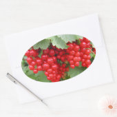 Sticker Ovale Des courants rouges sur le Plante. Feuilles verts. (Enveloppe)