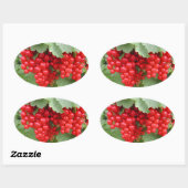 Sticker Ovale Des courants rouges sur le Plante. Feuilles verts. (Feuille)