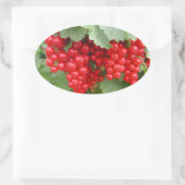 Sticker Ovale Des courants rouges sur le Plante. Feuilles verts. (Sac)