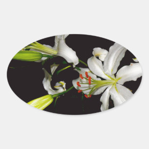 Sticker Ovale Design irlandais - Collection de laiton et de fleu