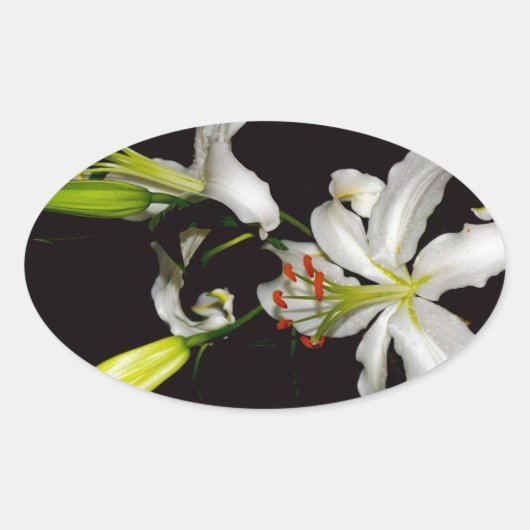 Sticker Ovale Design irlandais - Collection de laiton et de fleu (Devant)