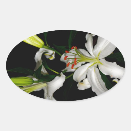 Sticker Ovale Design irlandais - La collection Flower (Devant)