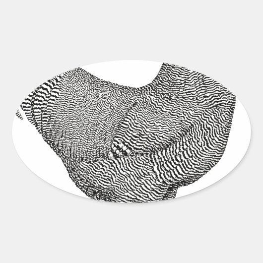 Sticker Ovale Dessin de poulet de roche de Plymouth (Devant)