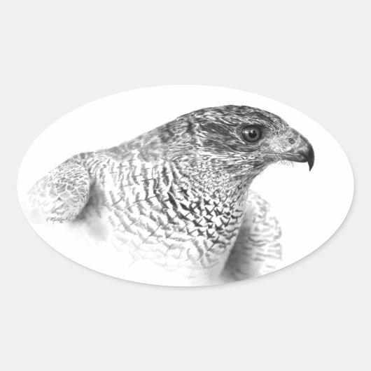 Sticker Ovale Dessin Goshawk (Devant)